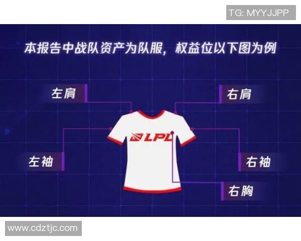 电竞实时数据职业联赛特别报道RNG逆袭之路揭示团队精神与策略的完美结合 电竞实时数据职业联赛特别报道RNG逆袭之路揭示团队精神与策略的完美结合